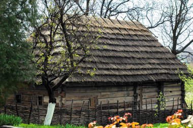 Uzhhorod, Ukrayna 'daki açık hava halk müzesindeki eski kır evi.