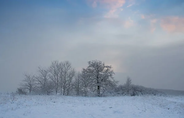 Красивый Зимний Пейзаж Лесом Зимнее Утро Нового Дня — стоковое фото