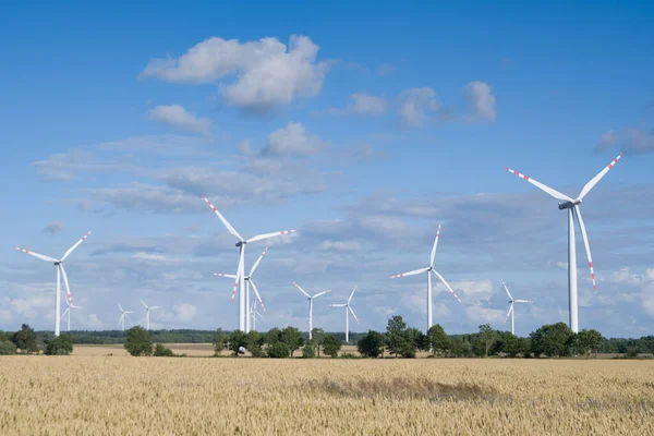 風力発電所とフィールドの風景 — ストック写真