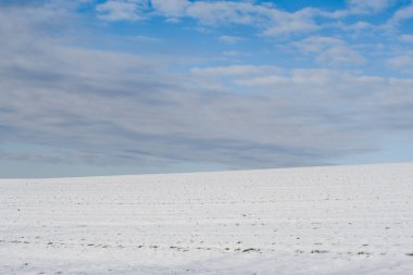 beautiful winter landscape with forest. Winter morning of a new day. 