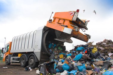 Arazi dolgusu çevreyi kirletir. Çöp kamyonu. Kuşlar çöp sahasında uçar