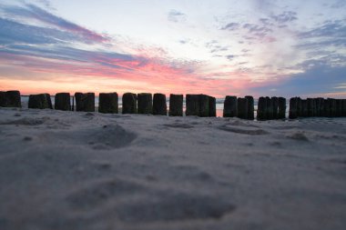 Gün batımında Baltık Denizi kıyısında. Yenileme. Polonya. Yakın plan.