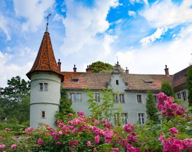 Kont Schonborn (içinde mazi - beregvar) carpaty içinde Avcılık kale Köyü (zakarpattja bölgesi, Ukrayna). 1890 yılında inşa.