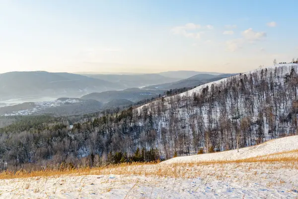Úžasná Zimní Krajina Úžasný Pohled Malebné Zalesněné Hory Pokryté Sněhem — Stock fotografie