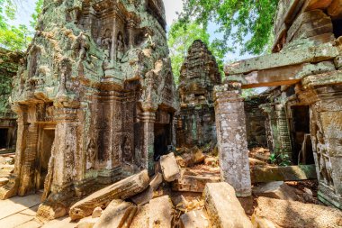 Antik Angkor 'daki Ta Prohm tapınağının gizemli kalıntıları, Siem Reap, Kamboçya. Angkor popüler bir turistik merkezdir..