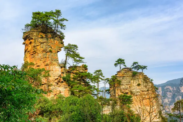 Υπέροχη Θέα Των Φυσικών Πυλώνων Χαλαζία Ψαμμίτη Των Βουνών Tianzi Εικόνα Αρχείου