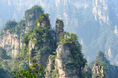 Tianzi Dağları 'ndaki (Avatar Kayaları) kayaların tepesinde yetişen yeşil ağaçların muhteşem manzarası, Çin' in Hunan Eyaleti 'ndeki Zhangjiajie Ulusal Orman Parkı. Ağaçlı dağlar arka planda görünür..