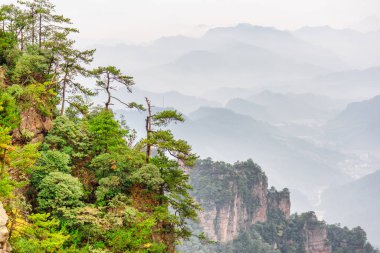 Çin 'in Hunan Eyaleti' ndeki Zhangjiajie Ulusal Orman Parkı 'ndaki Tianzi Dağları' nın (Avatar Dağları) doğal kuvars sütunları. Yaz manzarası.