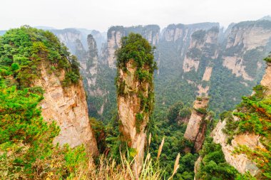 Çin 'in Hunan Eyaleti' ndeki Zhangjiajie Ulusal Orman Parkı 'ndaki Tianzi Dağları' nın (Avatar Dağları) doğal kuvars sütunları. Yaz manzarası.