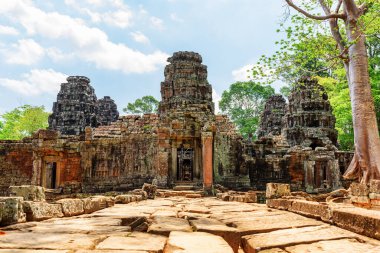 Antik Angkor 'daki Ta Prohm tapınağının gizemli kalıntıları, Siem Reap, Kamboçya. Angkor popüler bir turistik merkezdir..