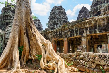 Antik Angkor 'daki Ta Prohm tapınağının gizemli kalıntıları, Siem Reap, Kamboçya. Angkor popüler bir turistik merkezdir..