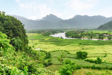 Son Nehri 'nin Vietnam' daki Phong Nha-Ke Bang Ulusal Parkı 'ndaki muhteşem hava manzarası. Karst kuleleri ve pirinç tarlalarından oluşan bir manzara. Ulusal park Asya 'nın popüler bir turistik merkezidir..