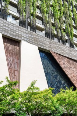 Singapur 'daki yeşil bina cephesi. Mükemmel şehir dikey bahçıvanlığı, ekolojik tasarım. Duvarda büyüyen güzel bitkiler. İnanılmaz bir biyo-duvar ve mini ekosistem. Singapur 'da peyzaj.