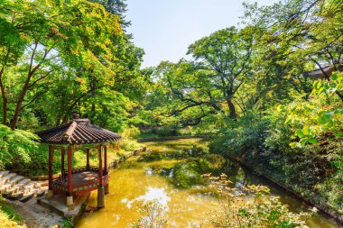 Güney Kore, Seul 'deki Changdeokgung Sarayı' nın Huwon Gizli Bahçesi 'nde renkli bir pavyon ve manzaralı bir gölet. Geleneksel Kore saray mimarisi. Bahçe Asya 'nın popüler bir turistik merkezidir..