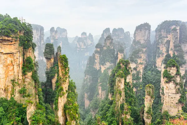 Çin 'in Hunan Eyaleti' ndeki Zhangjiajie Ulusal Orman Parkı 'ndaki Tianzi Dağları' nın (Avatar Dağları) doğal kuvars sütunları. Yaz manzarası.