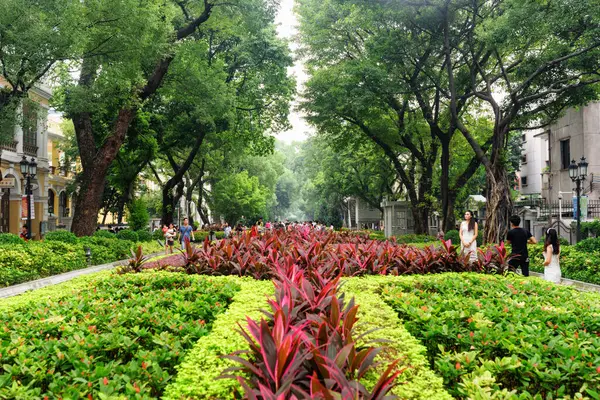 광저우 2015년 11월 Shamian 아름다운 정원의 광저우는 아시아의 인기있는 관광지입니다 스톡 사진