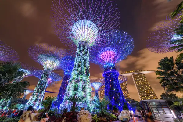 Singapura Fevereiro 2017 Lindo Fundo Noite Vista Das Superárvores Jardins Fotos De Bancos De Imagens Sem Royalties
