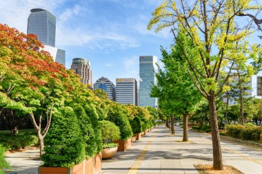 Seoul, South Korea - October 14, 2017: Autumn boulevard at Yeouido. Yeoui Island is the main finance and investment banking district of Seoul. Scenic fall cityscape. clipart