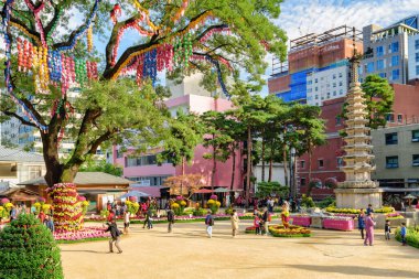 Seul, Güney Kore - 15 Ekim 2017 Jogyesa Tapınağı 'ndaki renkli bahçenin muhteşem manzarası. Farklı renkte kasımpatılar. Jogyesa Tapınağı Kore Budizminin bir sembolüdür..