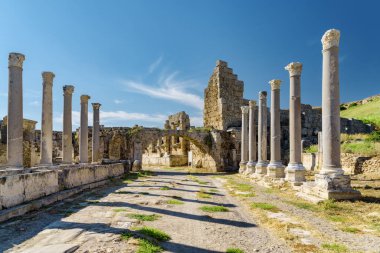 Antalya ilinin Perge ilçesinde sahne sütunları (Perga). Antik Yunan şehrinin muhteşem manzarası. Perge Türkiye 'de popüler bir turizm beldesi.