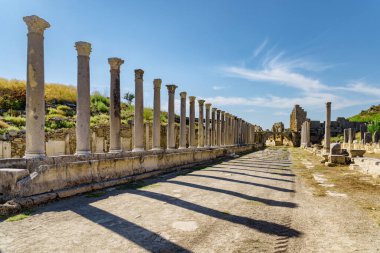 Antalya ilinin Perge ilçesinde sahne sütunları (Perga). Antik Yunan şehrinin muhteşem manzarası. Perge Türkiye 'de popüler bir turizm beldesi.