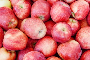 Taze kırmızı elmaların yakın görüntüsü. İyi meyve hasadı. Sağlıklı ekolojik gıda. Organik tarım ürünü..