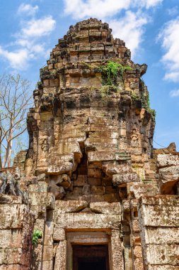 Antik Angkor 'daki Ta Prohm tapınağının gizemli kalıntıları, Siem Reap, Kamboçya. Angkor popüler bir turistik merkezdir..