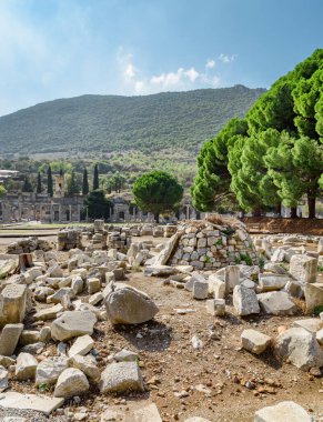 İzmir 'in Selcuk ilçesindeki Efes (Efes) Efesindeki agora kalıntıları. Antik Yunan şehrinin muhteşem manzarası. Efes Türkiye 'de popüler bir turizm beldesi.