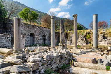 İzmir 'in Selcuk ilçesindeki Efes (Efes) Efesindeki agora kalıntıları. Antik Yunan şehrinin muhteşem manzarası. Efes Türkiye 'de popüler bir turizm beldesi.
