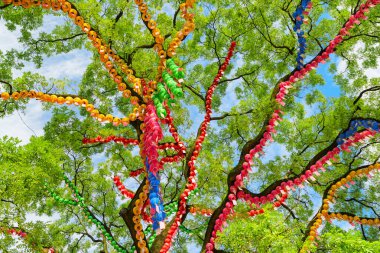 Seul, Güney Kore - 15 Ekim 2017: Jogyesa Tapınağı bahçesinde kağıt fenerlerle süslenmiş yeşil ağacın muhteşem renkli manzarası. Jogyesa Tapınağı Kore Budizminin bir sembolüdür..