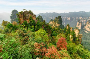 Çin 'in Hunan Eyaleti' ndeki Zhangjiajie Ulusal Orman Parkı 'ndaki Tianzi Dağları' nın (Avatar Dağları) doğal kuvars kumtaşı sütunlarının muhteşem manzarası. Muhteşem manzara..