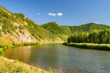 Ebedi yeşil ormanların arasındaki muhteşem nehir manzarası. Muhteşem manzara..