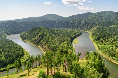 Ebedi yeşil ormanların arasındaki muhteşem nehir manzarası. Muhteşem manzara..