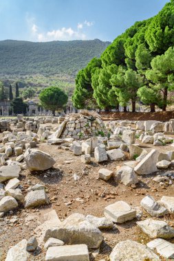 İzmir 'in Selcuk ilçesindeki Efes (Efes) Efesindeki agora kalıntıları. Antik Yunan şehrinin muhteşem manzarası. Efes Türkiye 'de popüler bir turizm beldesi.