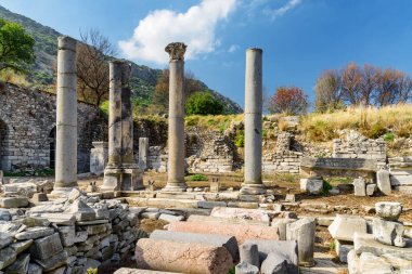 İzmir 'in Selcuk ilçesindeki Efes (Efes) Efesindeki agora kalıntıları. Antik Yunan şehrinin muhteşem manzarası. Efes Türkiye 'de popüler bir turizm beldesi.