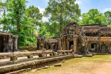 Antik Angkor 'daki Ta Prohm tapınağının gizemli kalıntıları, Siem Reap, Kamboçya. Angkor popüler bir turistik merkezdir..