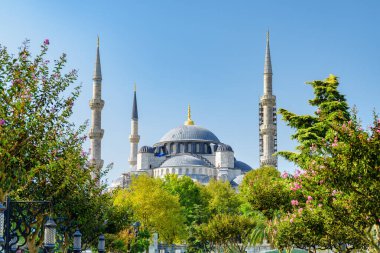 Yeşil bahçelerin arasında Sultan Ahmed Camii 'nin (Mavi Cami) muhteşem manzarası. Mavi Cami, İstanbul 'un hacılar ve turistleri arasında popüler bir yerdir..