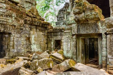Antik Angkor 'daki Ta Prohm tapınağının gizemli kalıntıları, Siem Reap, Kamboçya. Angkor popüler bir turistik merkezdir..