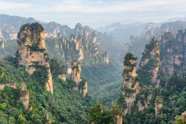 Çin 'in Hunan Eyaleti' ndeki Zhangjiajie Ulusal Orman Parkı 'ndaki Tianzi Dağları' nın (Avatar Dağları) doğal kuvars sütunları. Yaz manzarası.