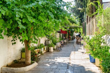 Bodrum, Türkiye 'de manzara yeşili dar bir sokak. Liman kenti, Türk Rivierası 'nda popüler bir turizm beldesi..