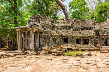 Antik Angkor 'daki Ta Prohm tapınağının gizemli kalıntıları, Siem Reap, Kamboçya. Angkor popüler bir turistik merkezdir..