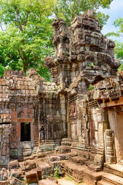 Antik Angkor 'daki Ta Prohm tapınağının gizemli kalıntıları, Siem Reap, Kamboçya. Angkor popüler bir turistik merkezdir..