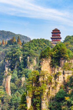 Tianzi Dağları (Avatar Dağları), Zhangjiajie Ulusal Orman Parkı, Hunan Eyaleti, Çin 'deki geleneksel yeşil ormanların muhteşem manzarası. Muhteşem bir manzara..