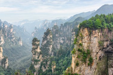 Çin 'in Hunan Eyaleti' ndeki Zhangjiajie Ulusal Orman Parkı 'ndaki Tianzi Dağları' nın (Avatar Dağları) doğal kuvars sütunları. Yaz manzarası.