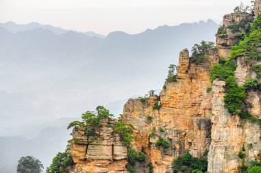 Çin 'in Hunan Eyaleti' ndeki Zhangjiajie Ulusal Orman Parkı 'ndaki Tianzi Dağları' nın (Avatar Dağları) doğal kuvars sütunları. Yaz manzarası.