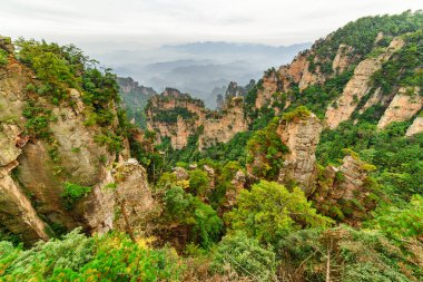 Çin 'in Hunan Eyaleti' ndeki Zhangjiajie Ulusal Orman Parkı 'ndaki Tianzi Dağları' nın (Avatar Dağları) doğal kuvars sütunları. Yaz manzarası.