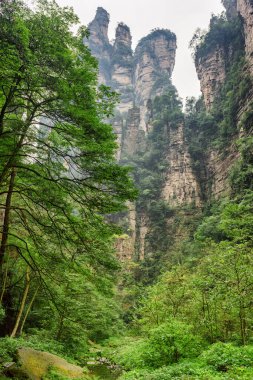 Çin 'in Hunan Eyaleti' ndeki Zhangjiajie Ulusal Orman Parkı 'ndaki Tianzi Dağları' nın (Avatar Dağları) doğal kuvars kumtaşı sütunlarının muhteşem manzarası. Muhteşem manzara..