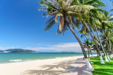 Güney Çin Denizi 'nin Nha Trang Körfezi' nin muhteşem manzarası ve Vietnam 'ın merkez plajı. Kıyıdaki palmiye ağaçları ve tropikal plajlar. Hon Tre Adası arka planda görünüyor..