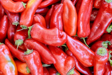 Taze kırmızı dolma biberin yakın görüntüsü. İyi sebze hasadı. Sağlıklı ekolojik gıda. Organik tarım ürünü..