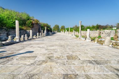 Efes 'teki caddenin muhteşem manzarası. Türkiye 'nin İzmir ilinin Selcuk ilçesindeki antik Yunan kentinin kalıntıları. Efes, Türkiye 'de popüler bir turizm merkezi..
